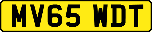MV65WDT