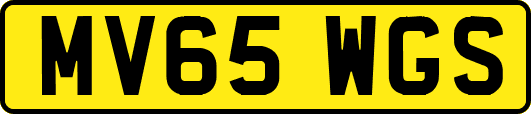 MV65WGS