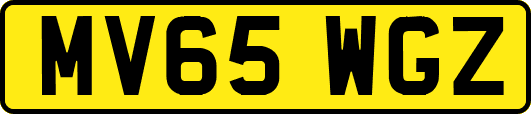 MV65WGZ