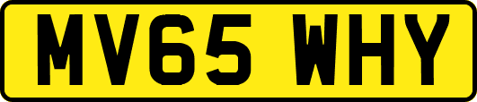 MV65WHY