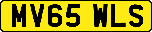 MV65WLS