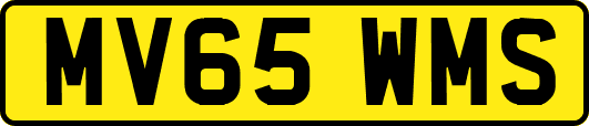 MV65WMS