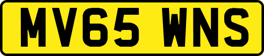 MV65WNS