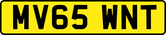 MV65WNT