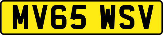 MV65WSV