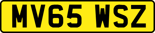 MV65WSZ