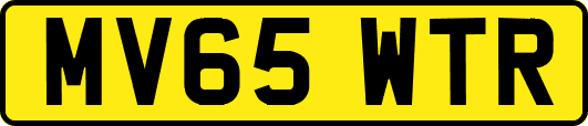 MV65WTR