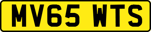 MV65WTS