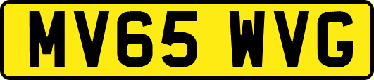 MV65WVG