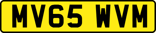 MV65WVM