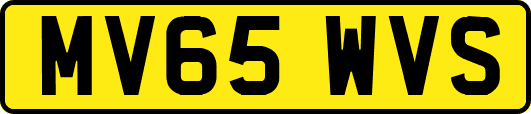 MV65WVS