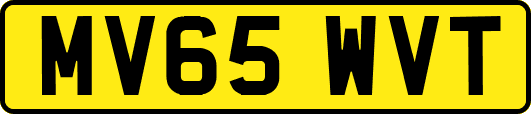 MV65WVT