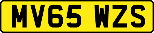 MV65WZS