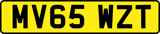 MV65WZT