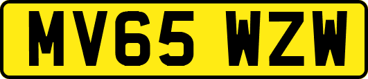 MV65WZW