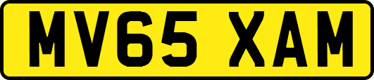 MV65XAM