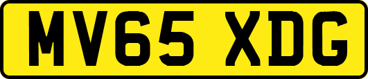 MV65XDG