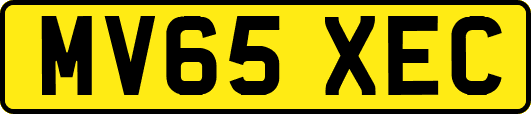 MV65XEC