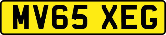 MV65XEG