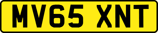 MV65XNT