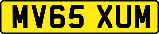 MV65XUM