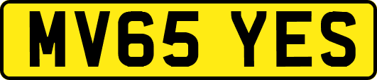 MV65YES