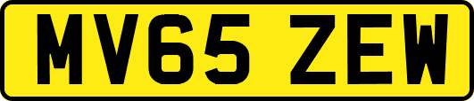 MV65ZEW