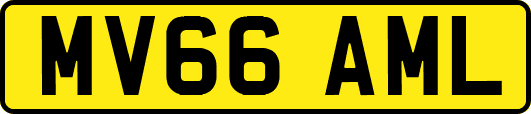 MV66AML