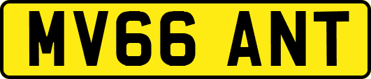 MV66ANT