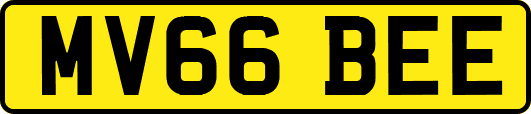 MV66BEE
