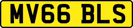 MV66BLS