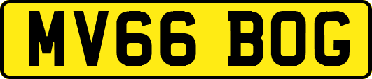 MV66BOG