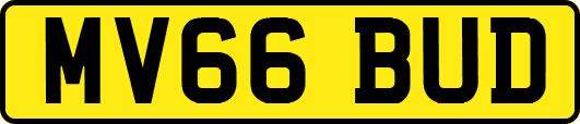 MV66BUD
