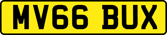 MV66BUX