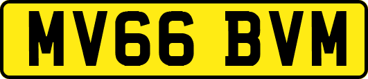 MV66BVM