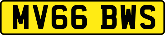 MV66BWS