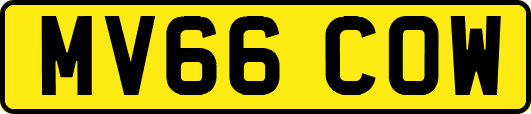 MV66COW