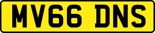 MV66DNS