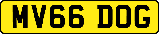 MV66DOG