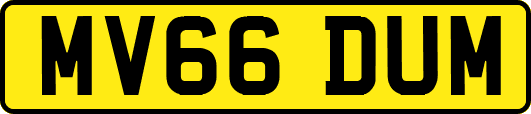 MV66DUM