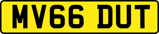 MV66DUT