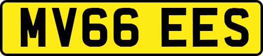 MV66EES