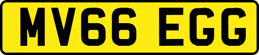 MV66EGG
