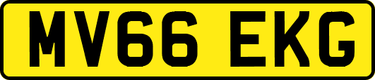 MV66EKG