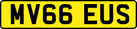 MV66EUS