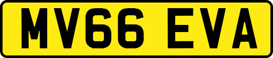 MV66EVA
