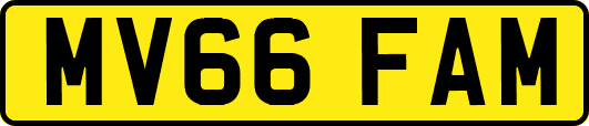 MV66FAM