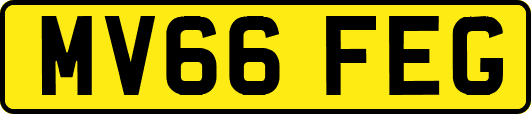 MV66FEG