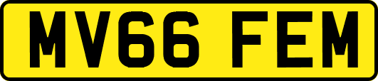 MV66FEM