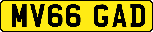 MV66GAD